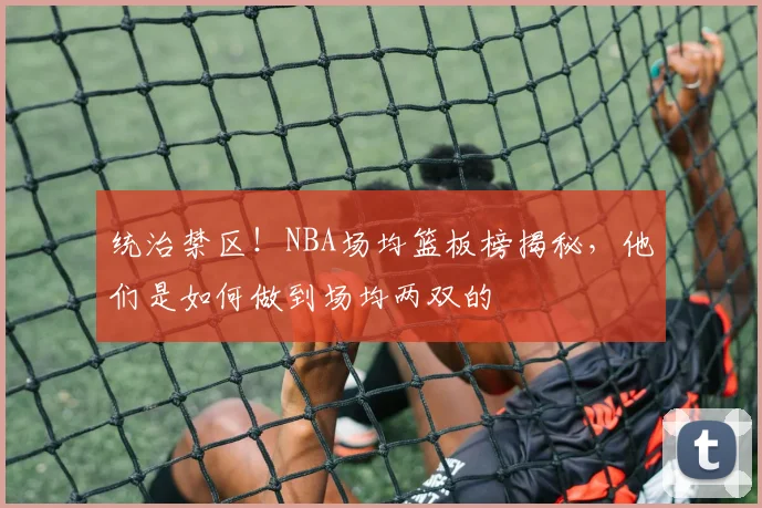 统治禁区！NBA场均篮板榜揭秘，他们是如何做到场均两双的
